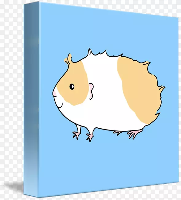 啮齿动物动画剪辑艺术-豚鼠