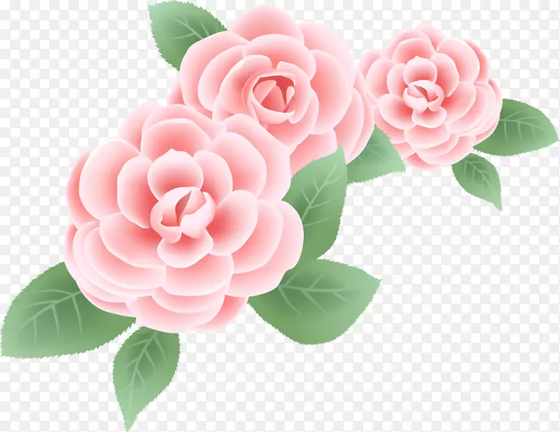 牡丹玫瑰插花艺术-玛丽