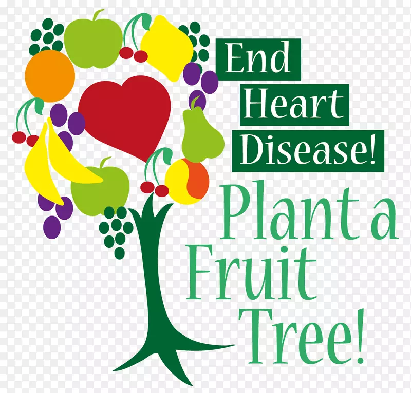 果树心血管疾病食品-心脏树