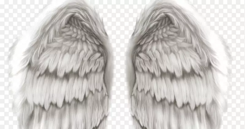 天使翅膀剪贴画-第一名