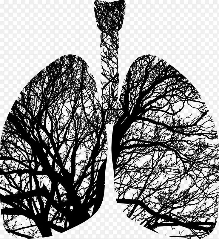 树木与肺轮廓结合图PNG图片素材下载_图片编号839872-PNG素材网