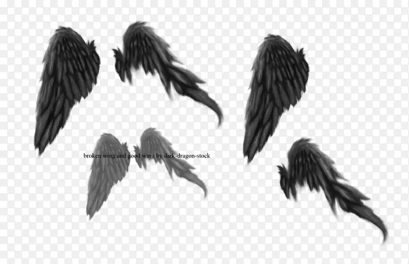 画笔堕落艺术折断的翅膀-黑暗