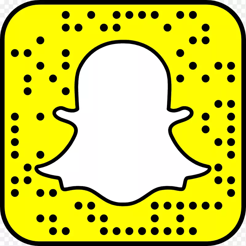 Snapchat Snap公司社交媒体组织