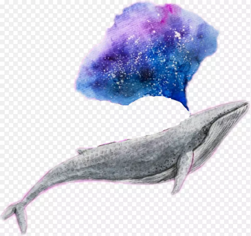 鲸鱼、海豚、海洋、灵芝-水彩动物