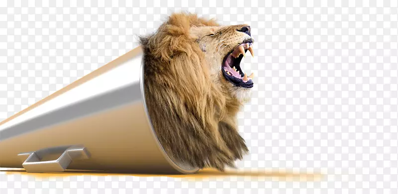 狮子视觉知觉创造力阈下刺激咆哮