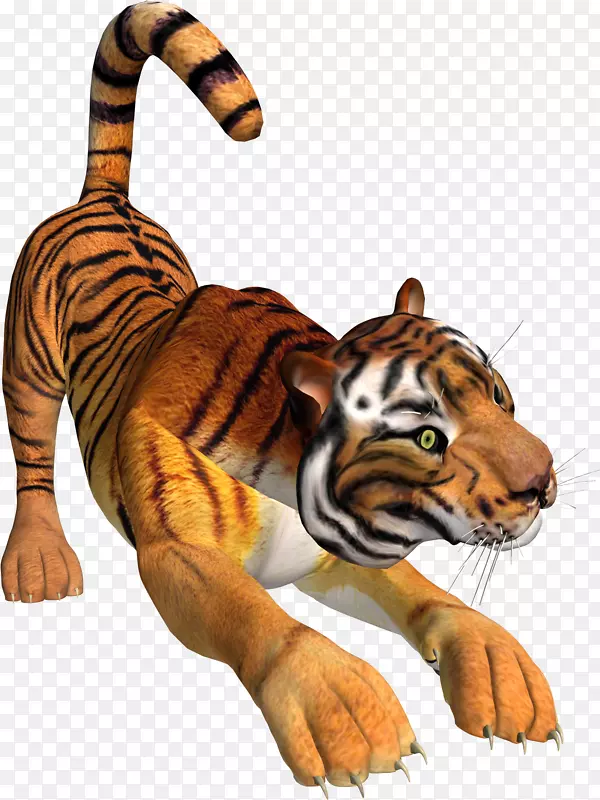 虎狮展示剪贴画-3D
