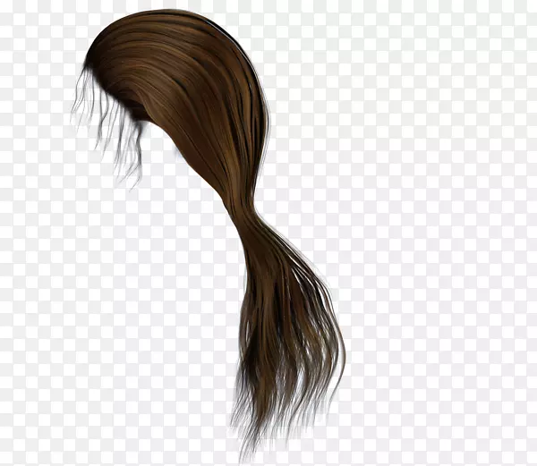 棕色头发马尾辫发型
