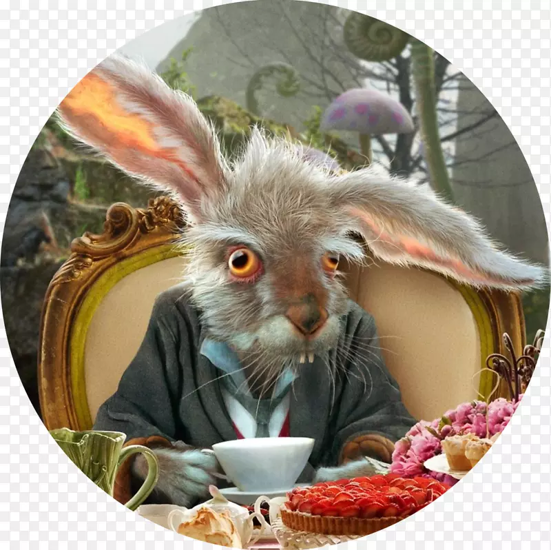 白兔，疯狂的帽匠毛毛虫，爱丽丝在仙境中的冒险-爱丽丝在仙境中的冒险