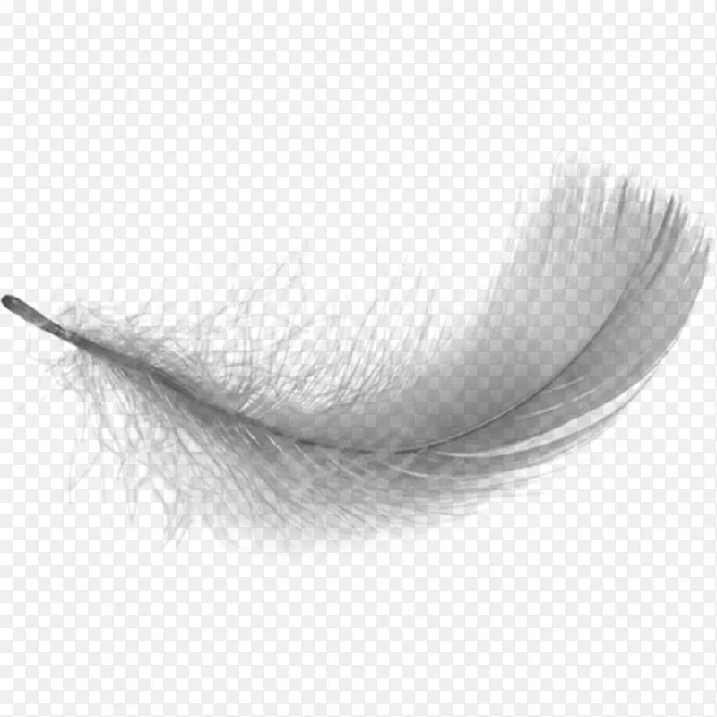 白色羽毛桌面壁纸夹艺术.羽毛