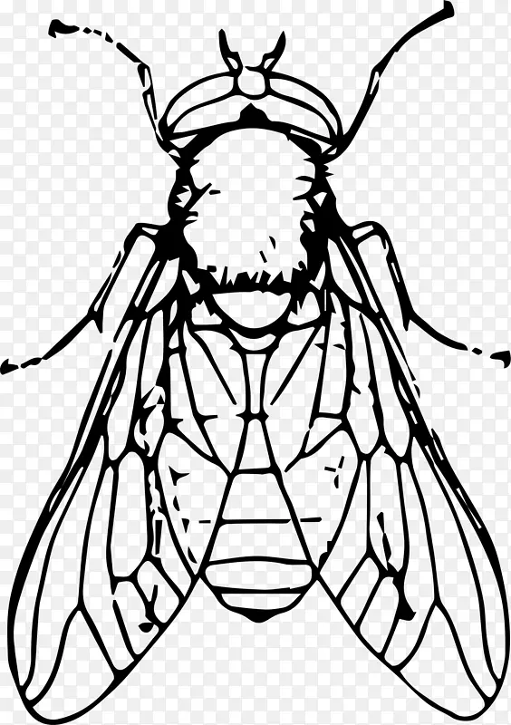 昆虫黑白绘画剪贴画-苍蝇