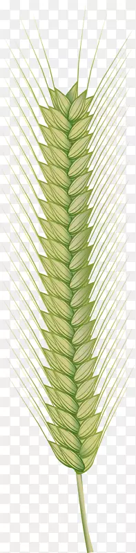 种子食品计算机图标-麦芽粒