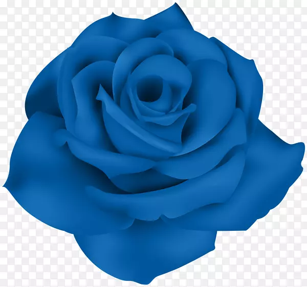 仙人掌玫瑰花园玫瑰蓝色玫瑰剪贴画-雪滴