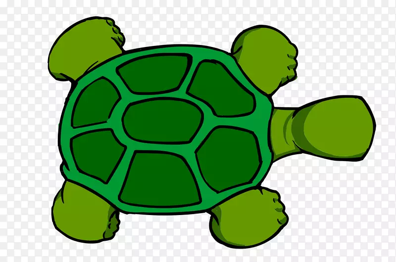 海龟剪贴画-乌龟