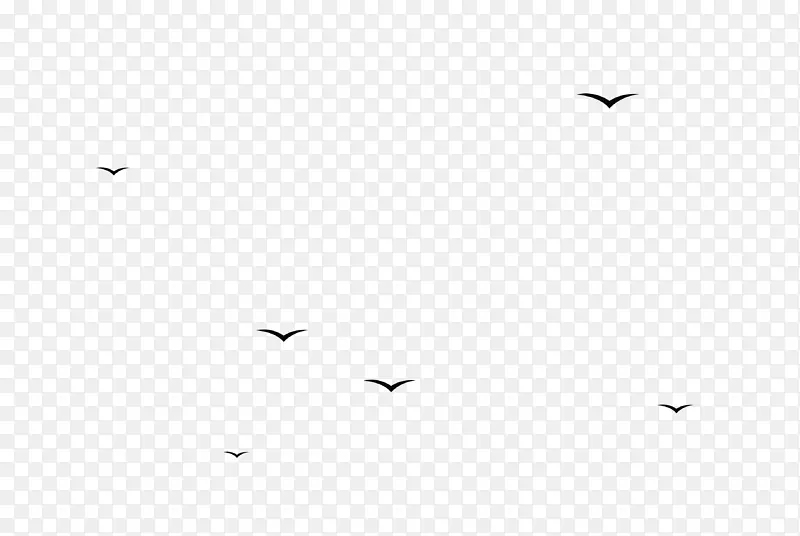 鸟类黑白单色摄影动物迁徙-羊群
