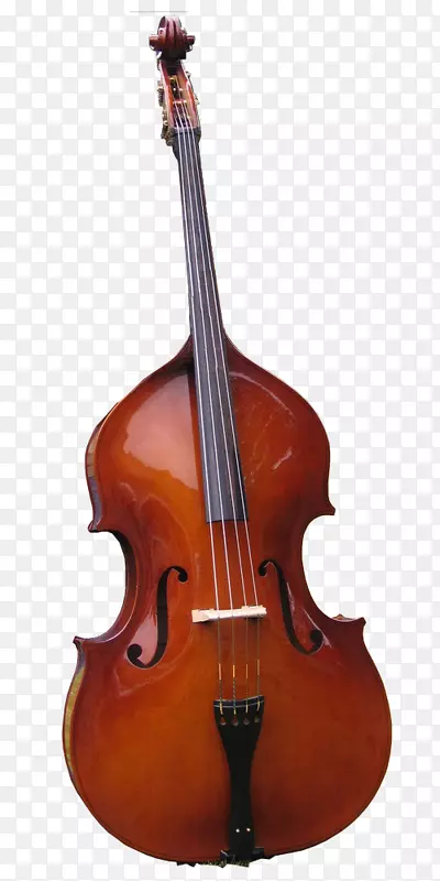 低音吉他大提琴中提琴弦乐器低音