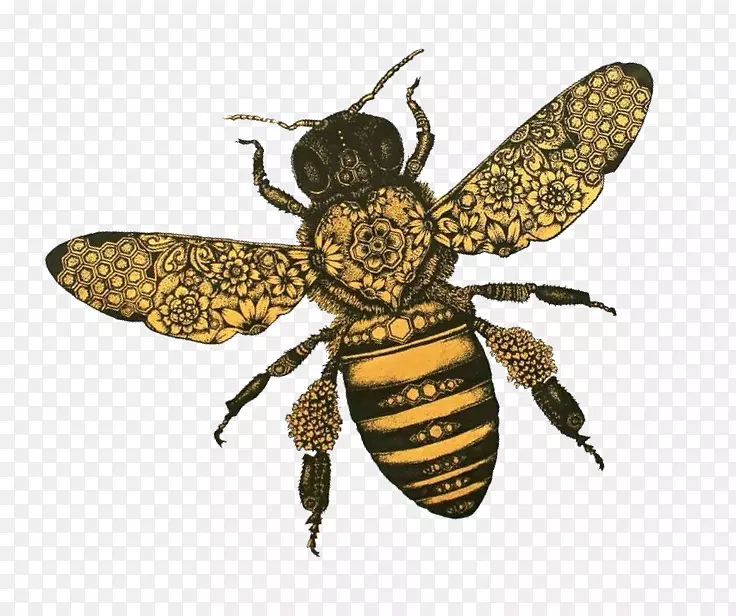 西方蜜蜂t恤昆虫无望喷泉王国世界之旅-蜜蜂