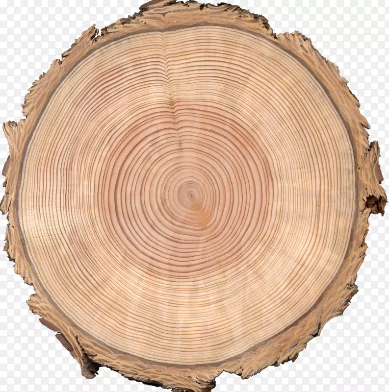 道格拉斯型木材单板切割木材工业.胡桃