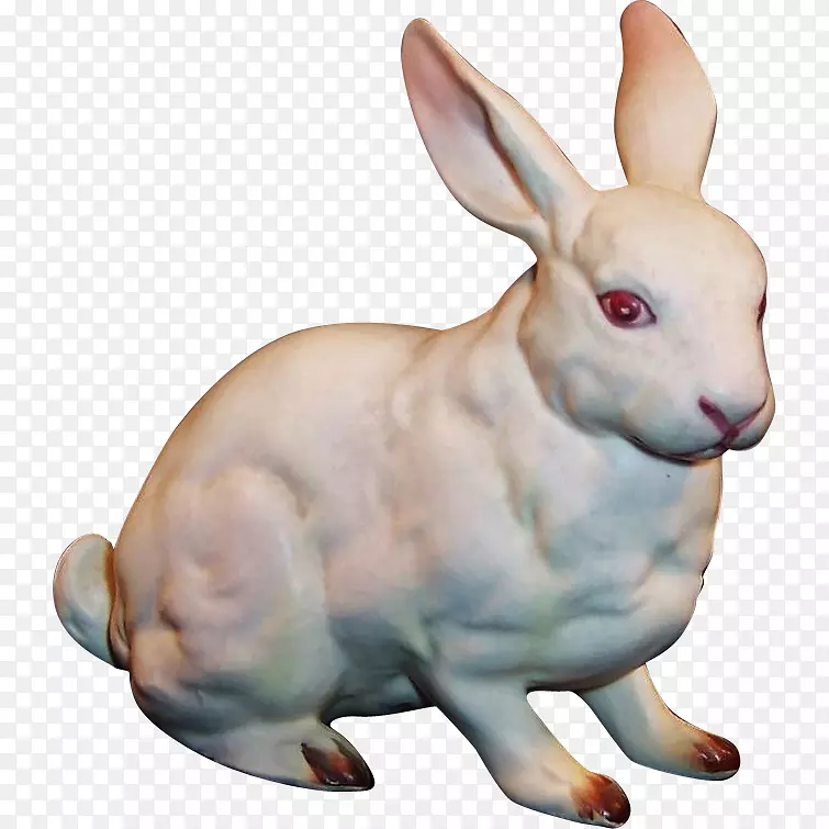 兔子，兔子-兔子