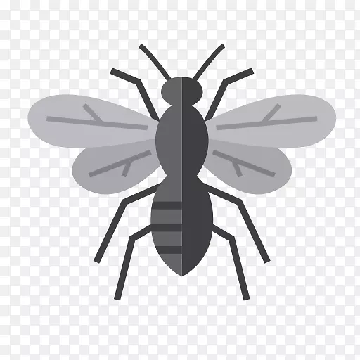 蚊虫防治蚁蜂