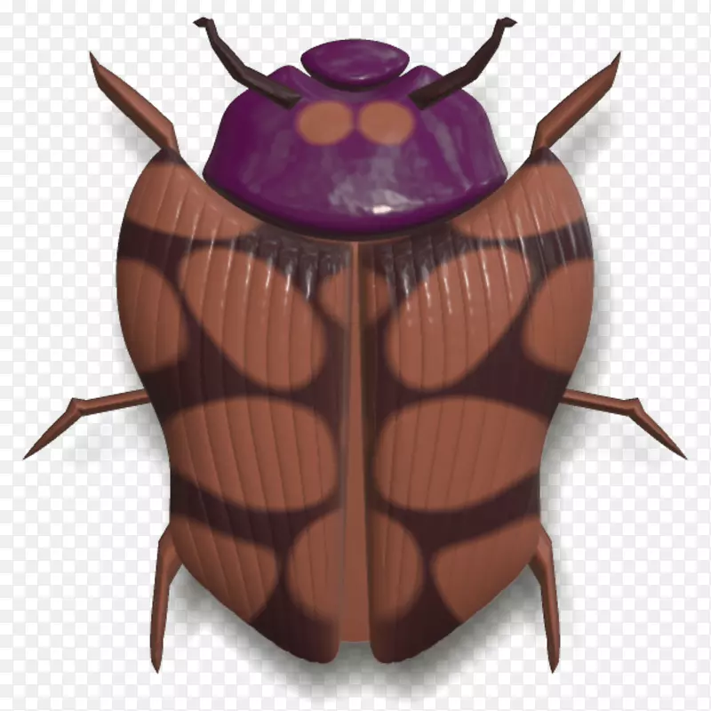 甲虫棕色蝴蝶甲虫