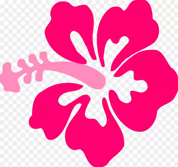 夏威夷木槿黄芙蓉画夹艺术-热带花