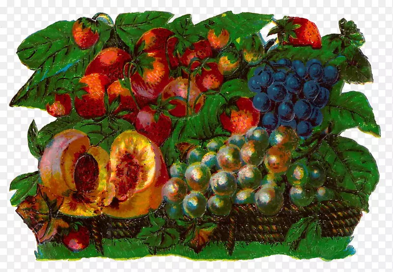 水果数码艺术水彩画食品礼品篮夹艺术水果篮
