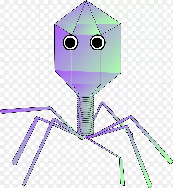 病毒载体噬菌体剪贴画生物学