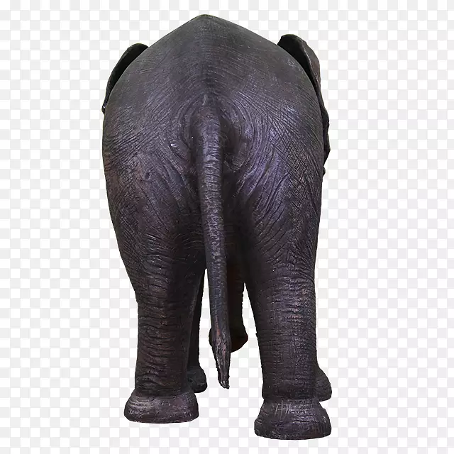 非洲象印度象陆地动物象母象