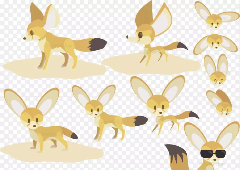 兔，动物，犬科-芬尼克狐狸