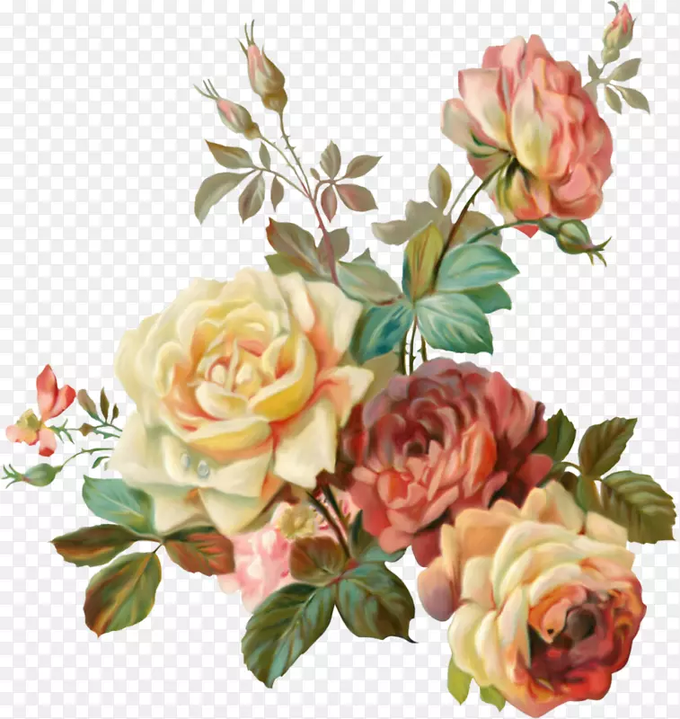 花园玫瑰，复古服装纸，破旧别致