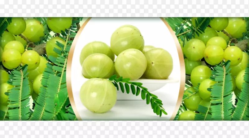 印度醋栗果汁水果油-Amla