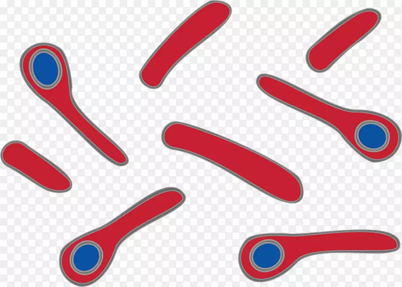 破伤风杆菌细胞结构病毒-人体
