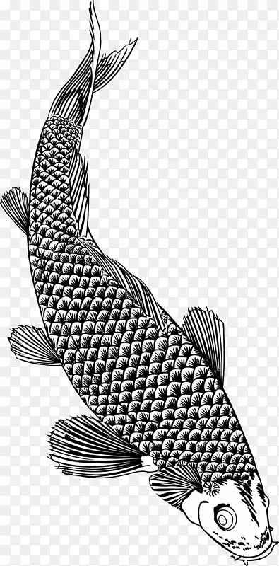 鱼刷单色海鲜-锦鲤