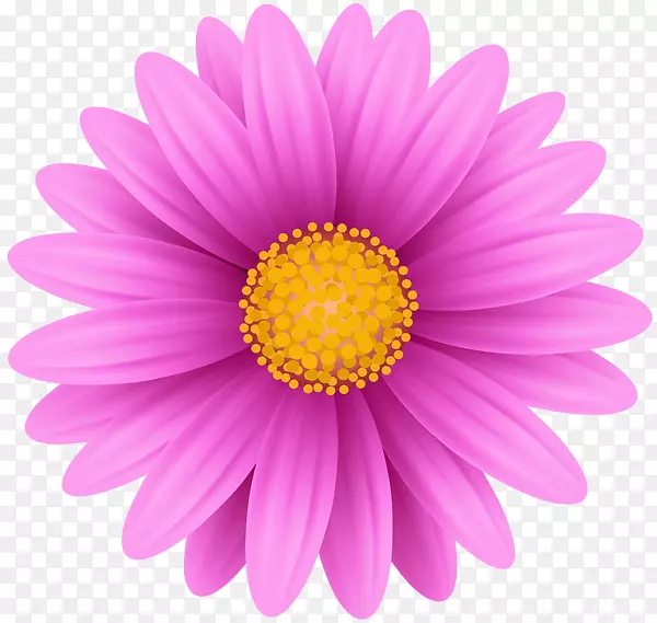 命名商业国王山广告-粉红色的花
