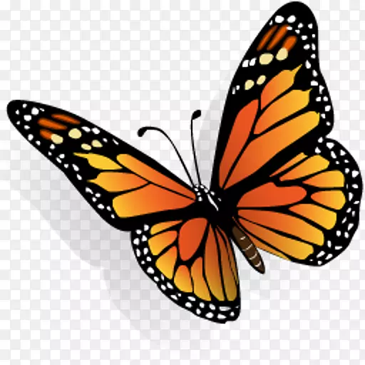 蝴蝶电脑图标桌面壁纸夹艺术-蝴蝶