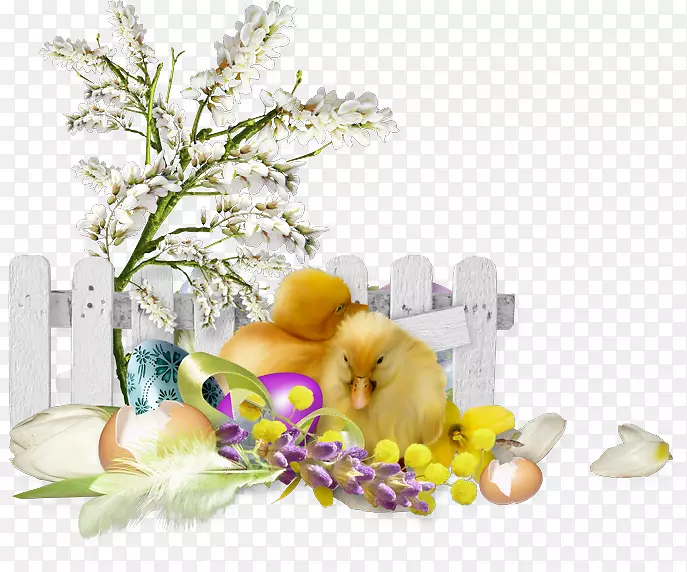 鸡复活节动画-Pasqua