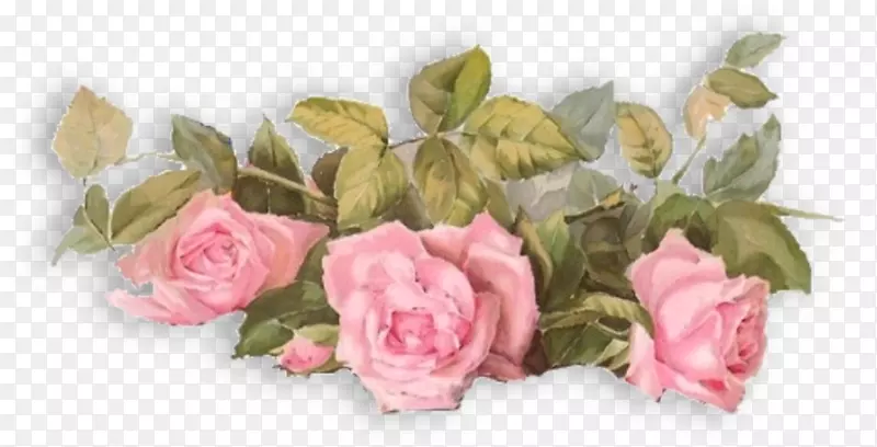 花园玫瑰桌面壁纸夹子艺术-葬礼