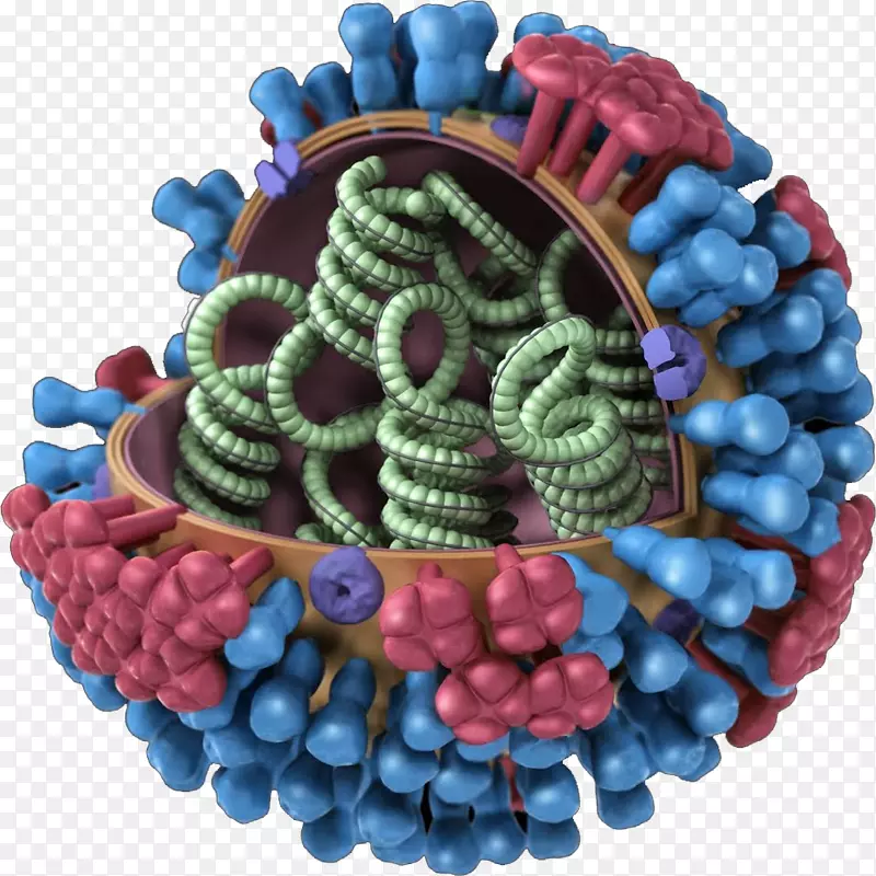 流感疫苗甲型流感病毒H3N2亚型流感季节-流感