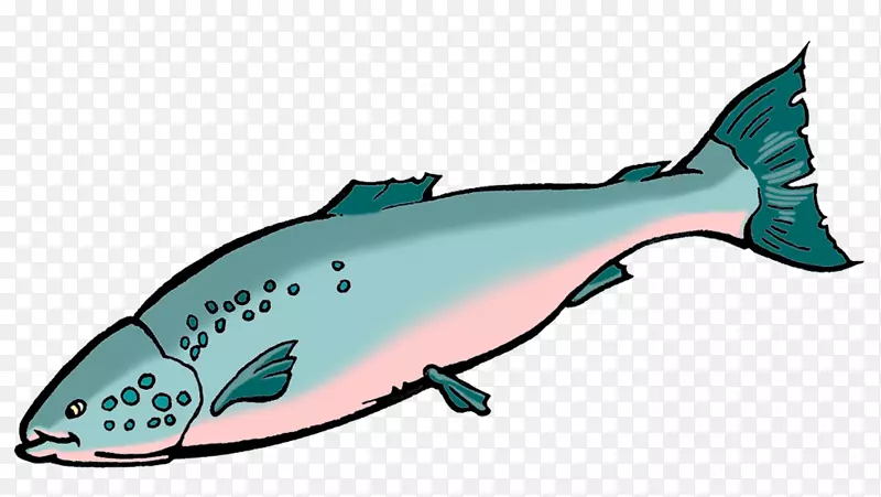 海豚、动物、海洋生物、海洋、剪贴画-鲑鱼