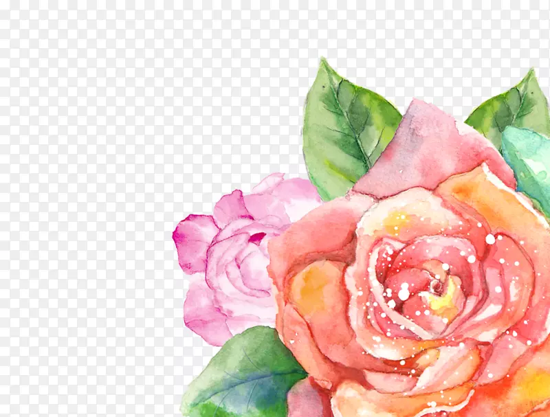 花卉水彩画花园玫瑰花卉设计透明水彩画