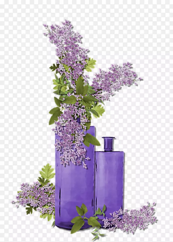 紫罗兰花紫罗兰花