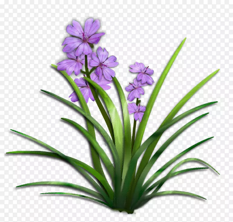 植物灌木剪贴画.紫色花