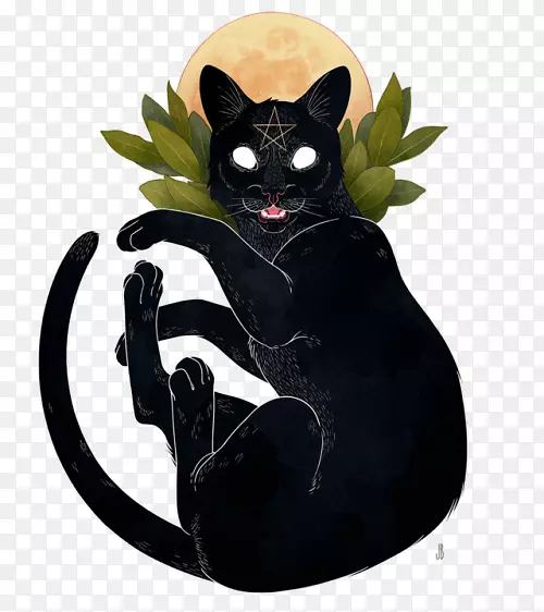 黑猫猫科熟悉的精灵-黑猫