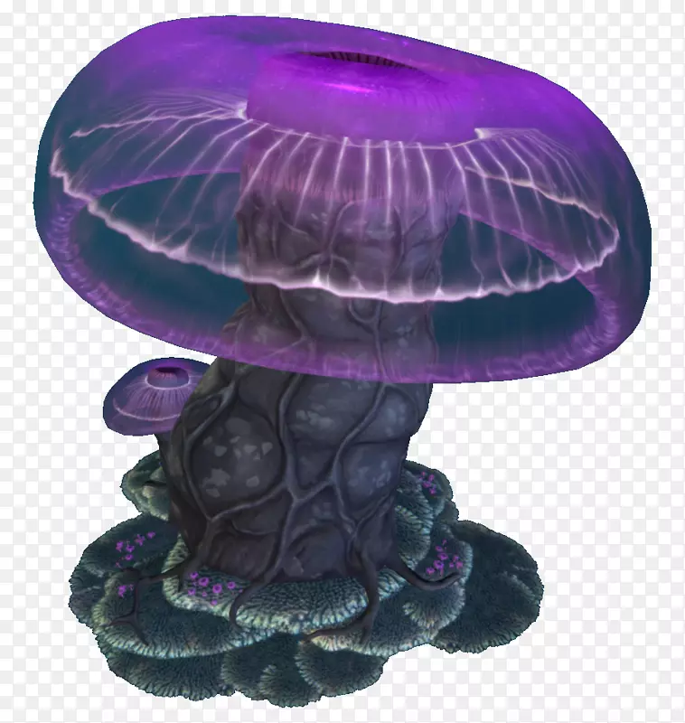 水母蘑菇-水母