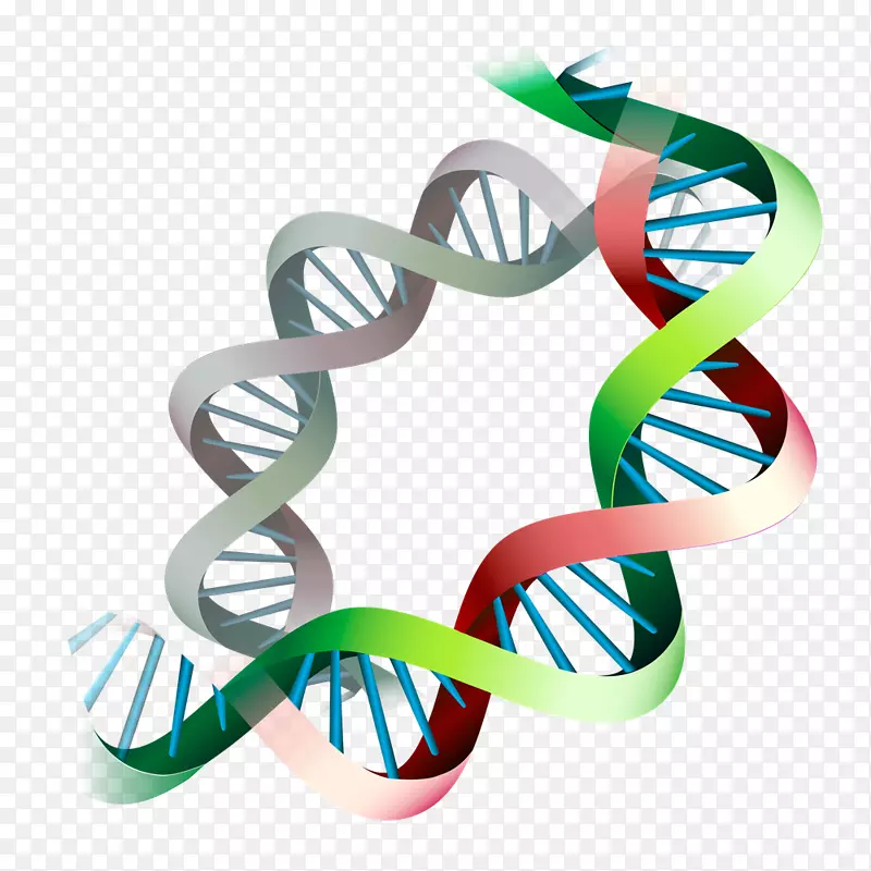 表观遗传学基因表达表观基因组DNA长寿