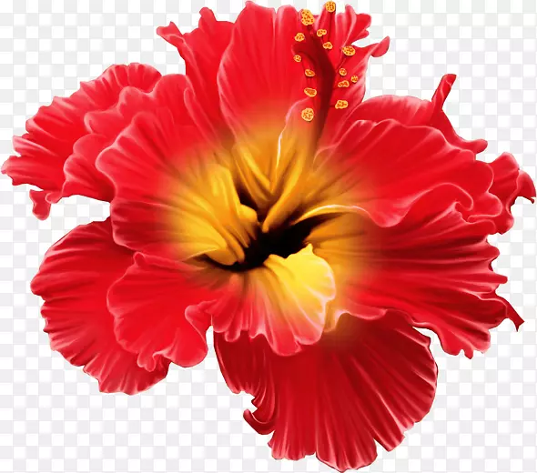 热带花卉设计剪贴画-热带