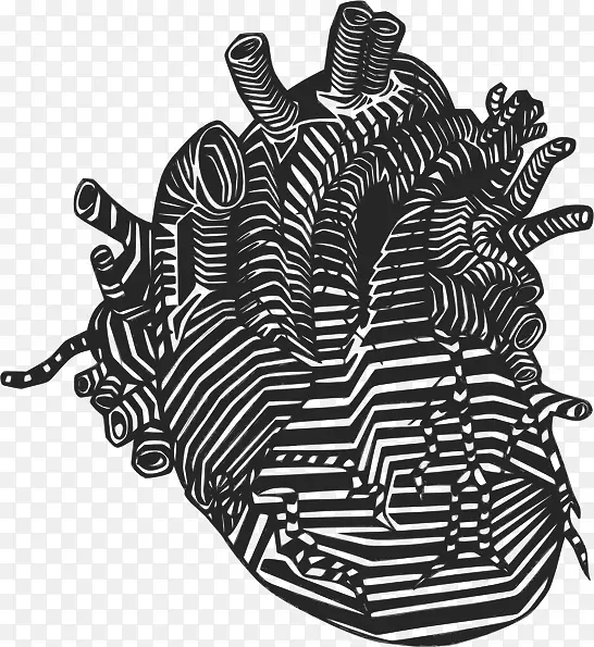 心脏素描解剖学剪贴画-人体心脏