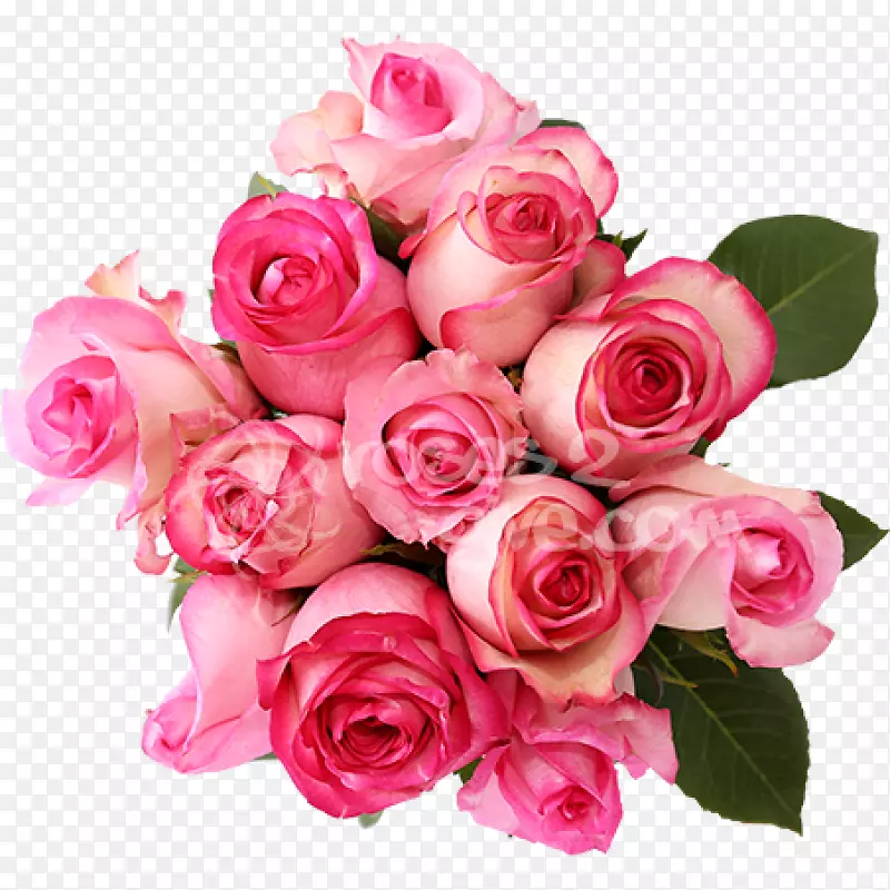 切花粉红色花园玫瑰花束-粉红色花