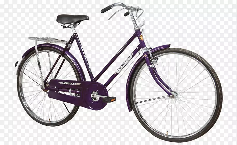 帕什利自行车混合动力脚踏车
