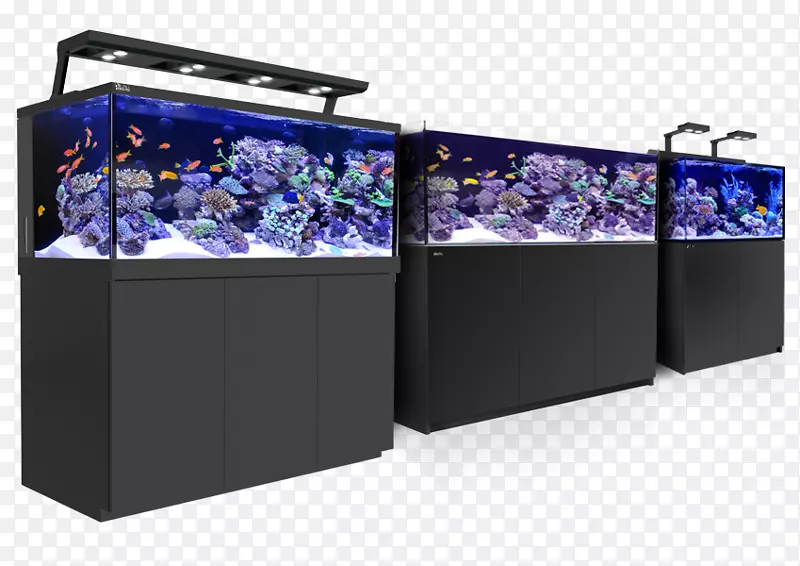 珊瑚礁水族馆珊瑚礁红海水族馆-鱼缸